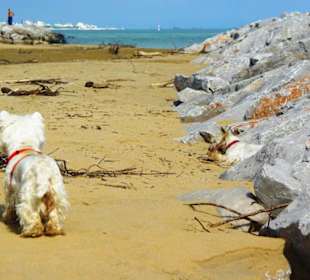 Ende September 2010 Inspirationen