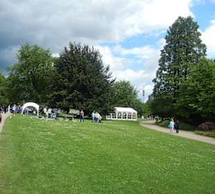 Parkanlage Planten un Blomen