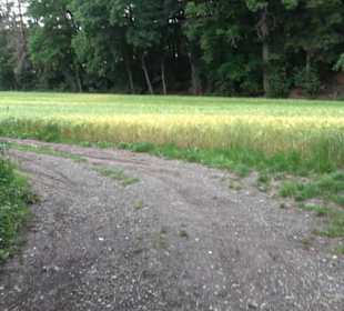 Schutzgebiet Spitzberg, Pfaffenberg