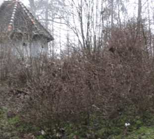 Wallfahrtskirche Maria Buch