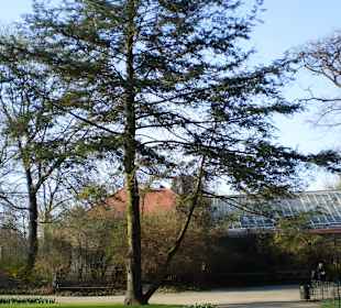 Łazienki Królewskie