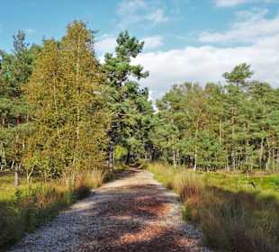Eindrücke aus dem Großen und Weißen Moor