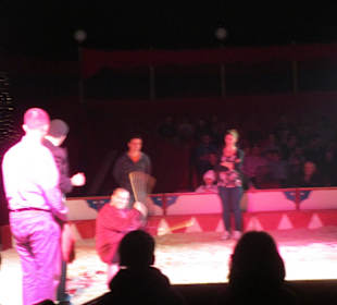 Landauer Weihnachtscircus 2015
