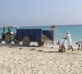 Aufräumarbeiten am Strand