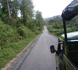 Durch die Berge hinter Trinidad