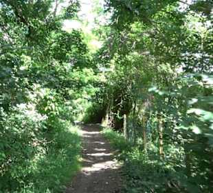 Schutzgebiet Spitzberg, Pfaffenberg
