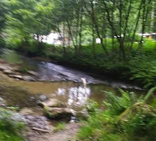 Beim Wasserfall 