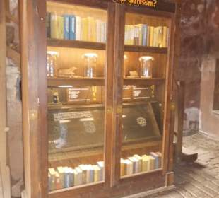 Weltvogelpark Walsrode