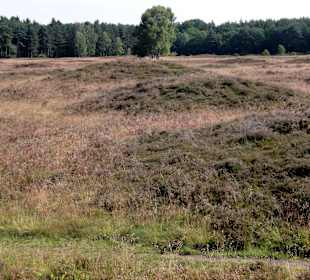 Impressionen vom Pestruper Gräberfeld