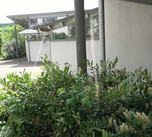 Herz-Jesu-Kirche Lützenhardt