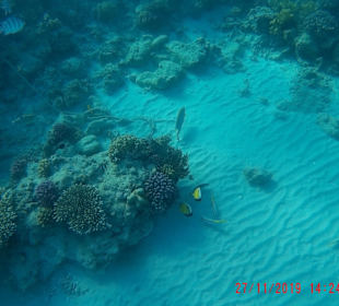 Schnorcheln Hurghada