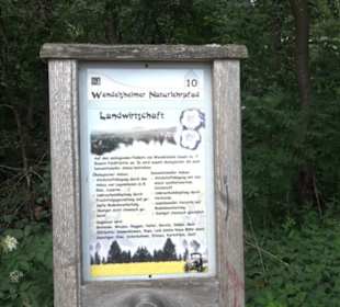 Wanderweg - Alter Steinbruch Pfaffenberg Runde