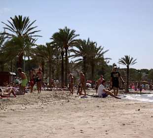 Strand, Palmen und Mee(h)r