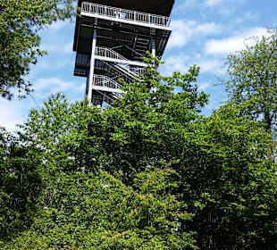 Wandern Alf an der Mosel