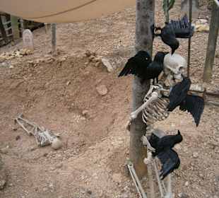 Порт Авентура Салоу