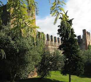 Die Mauern von Lazise