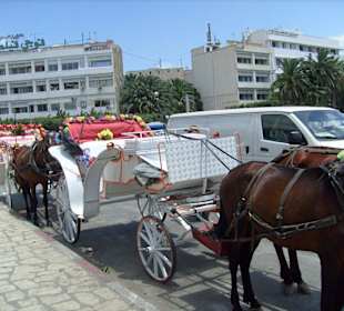 Auch so kommt man vorwärts