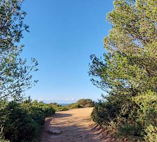 Seven Hanging Valleys Trail 