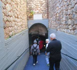  Höhle von Melissani