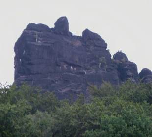 Felsen Lilienstein