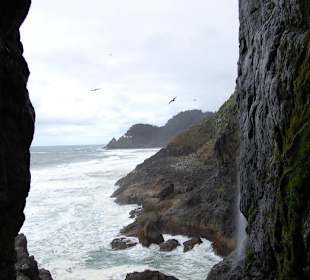 Ausblick auf die wundervolle Steilküste