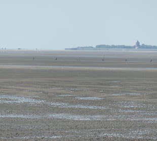 Wattenmeer-Wanderung an der Nordsee bei Cuxhaven