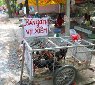 In verschiedenen Ausführungen