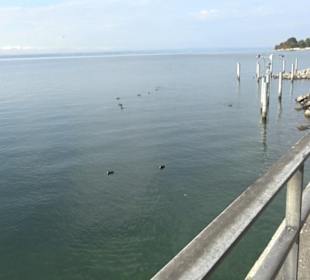 Windobjekte Kunst am See