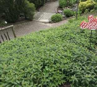 Benediktinerkloster Lorch