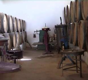 Bodega + Museum El Grifo