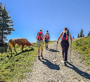 Wandern Lam