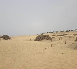 Dünen von Maspalomas