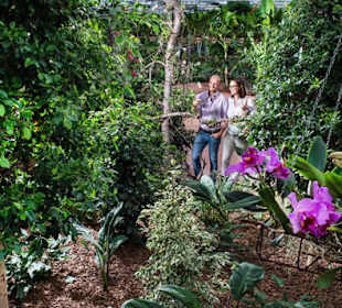 Raffeiner Orchideenwelt