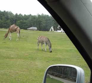 Serengeti Park Hodenhagen