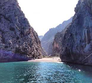 Wir zeigen Ihnen die Schönheit Mallorcas!