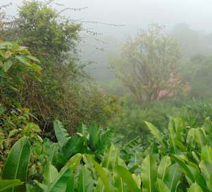 La Paz Waterfall Gardens