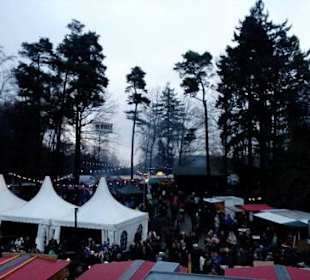Romantische Waldweihnacht Johanniskreuz