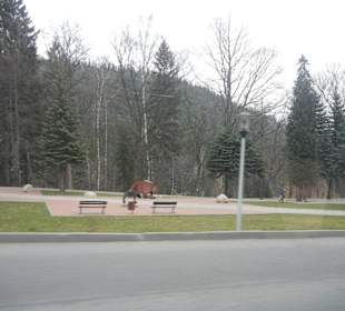 Schneekope/Śnieżka