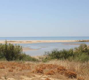 Blick in das Naturschutzgebiet