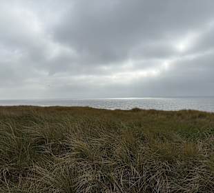 Strand Egmond aan Zee
