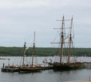 H.H.S. Tecumseth und H.M.S. Bee