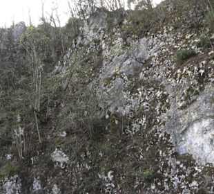 Wanderweg Hochgehswiggert
