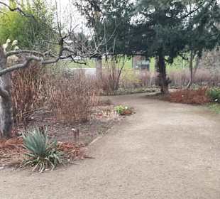 Im Schulgarten