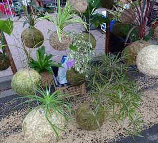 Rundgang über den Marché forain du Front de Mer