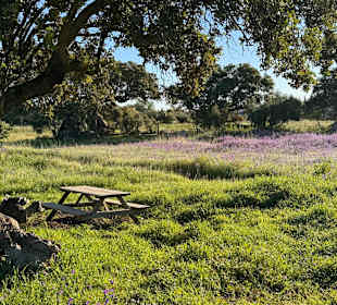 Wandern Evora