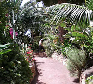 Im Oasis Park in La Lajita