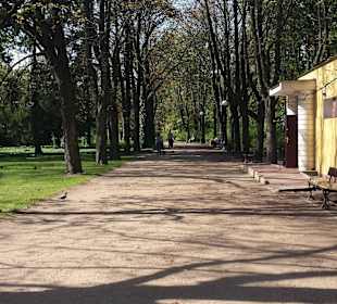 Park Dreszera