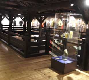 Theodor Zink Museum