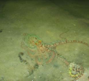 Abends in der Lagune