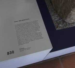 Rheinisches Landesmuseum